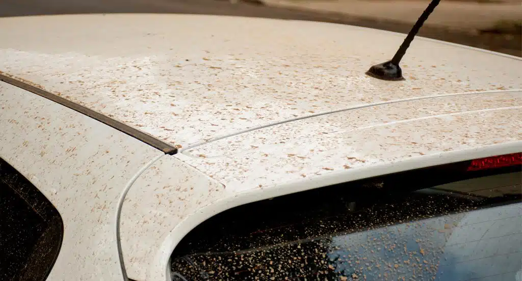 Rötlicher Saharastaub-Sand liegt auf dem Dach eines weißen Autos