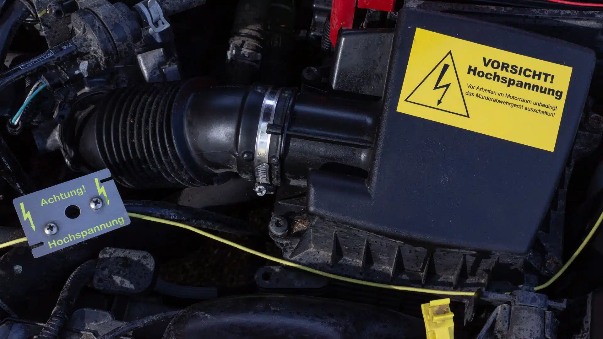Marderschutz, Schluss mit zerbissenen Leitungen im Motorraum