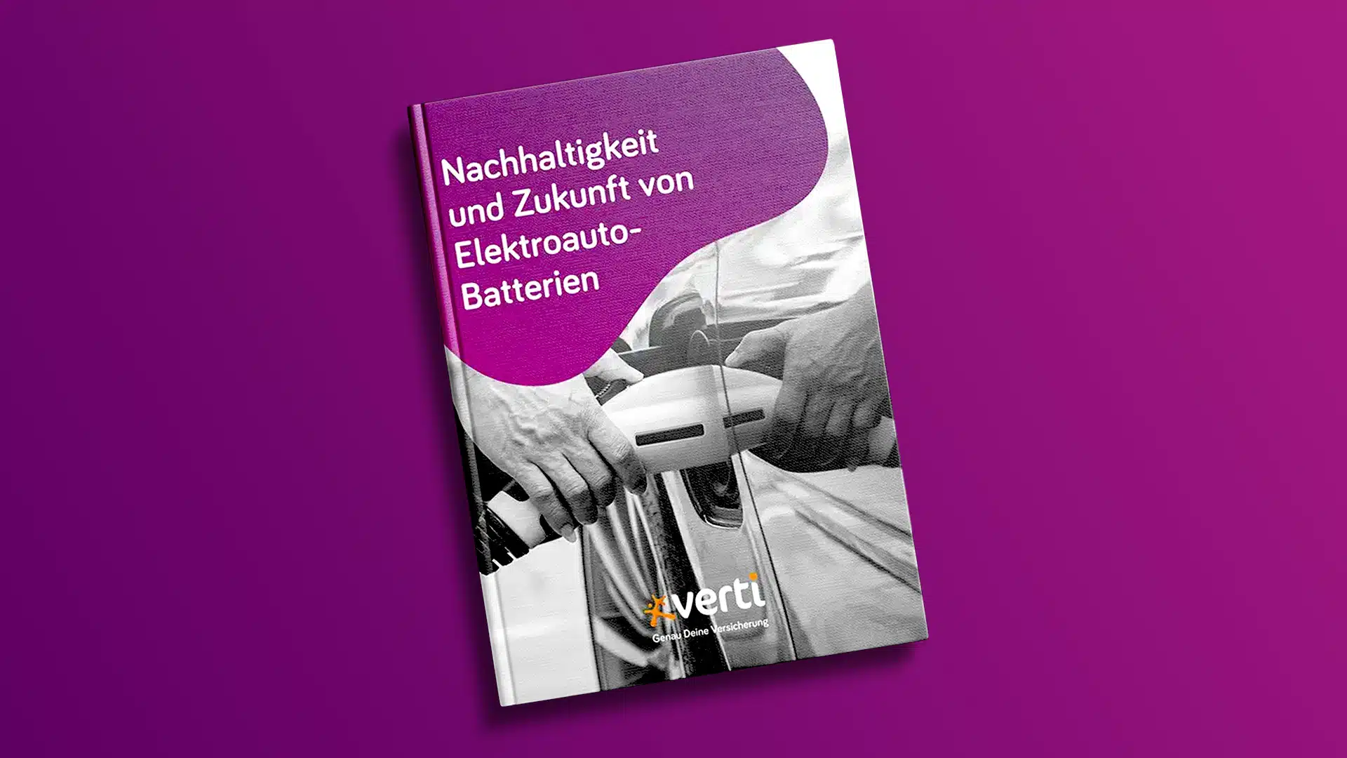 E-Book: E-Auto Batterien