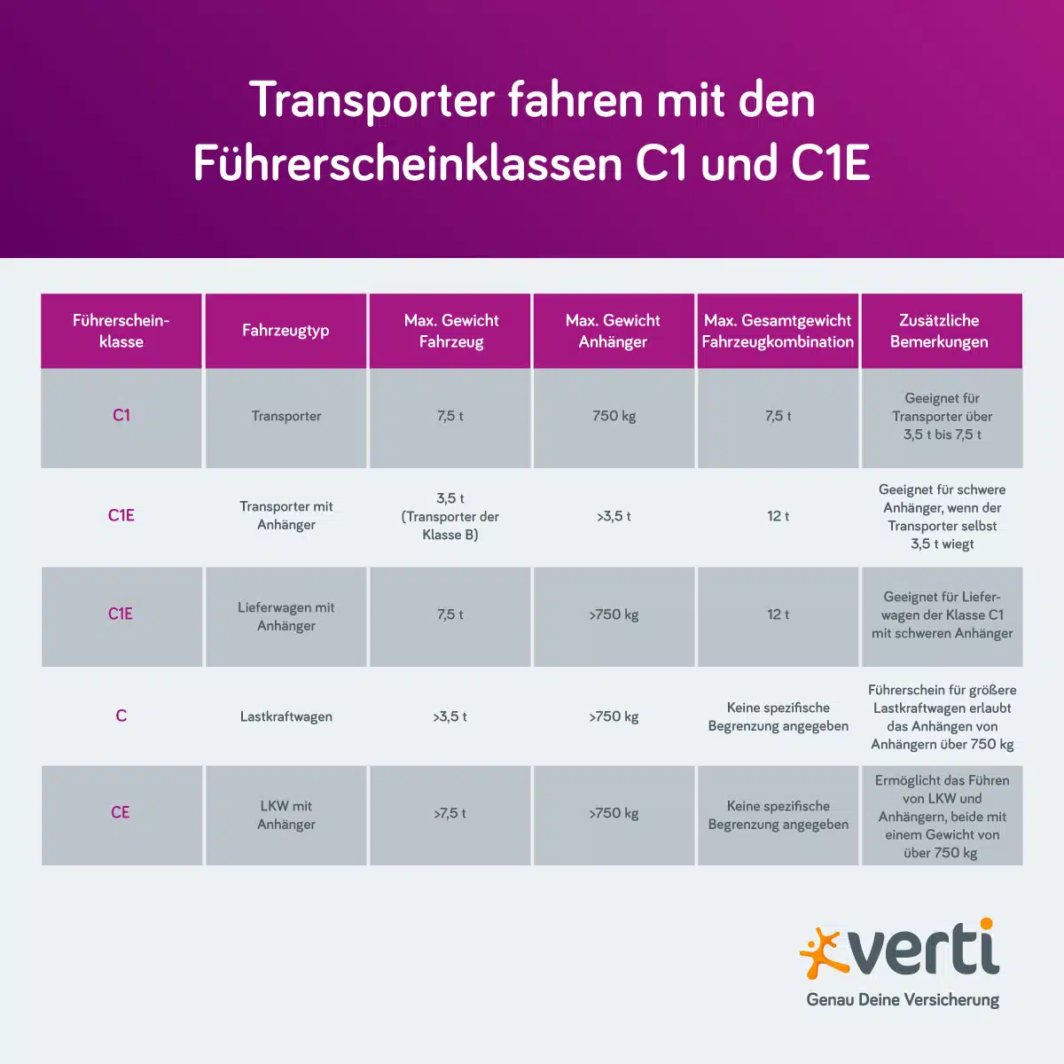 Transporter fahren Führerschein